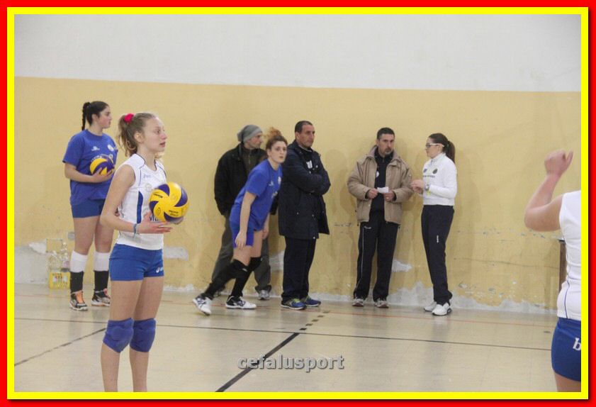 140305 Primula 020_tn.jpg
